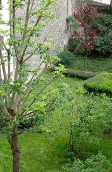 PARIS 15 - RUE ST LAMBERT 6