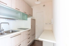 PARIS 15 - RUE THIBOUMERY 4