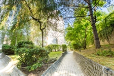 PARIS 15 - RUE LECOURBE 8