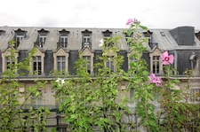 PARIS 15 - RUE LACRETELLE 1