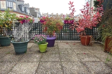 PARIS 15 - RUE VAUGELAS 2