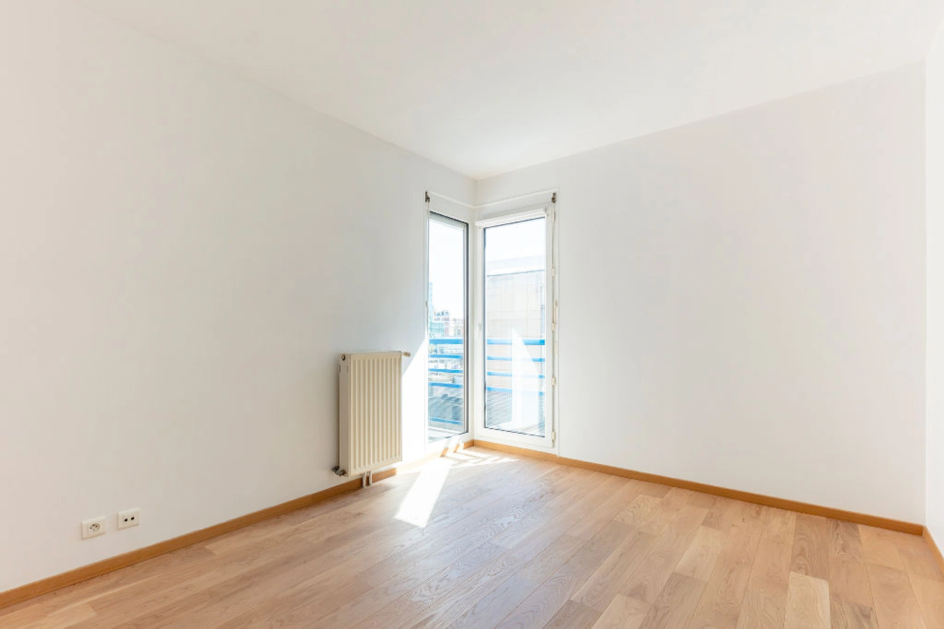 PARIS 15 - RUE CASTAGNARY 4