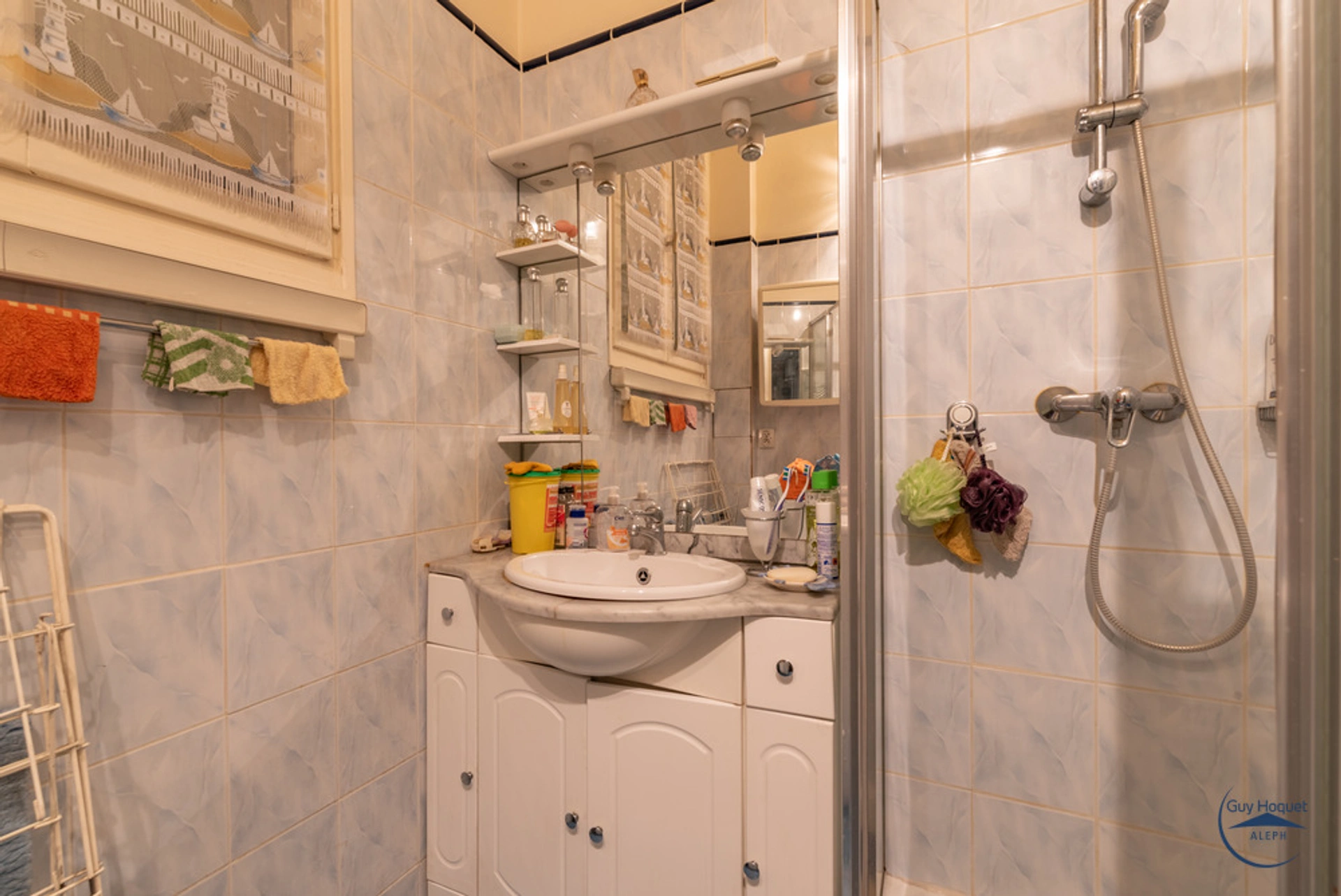 PARIS 15 - RUE OLIVIER DE SERRES 6