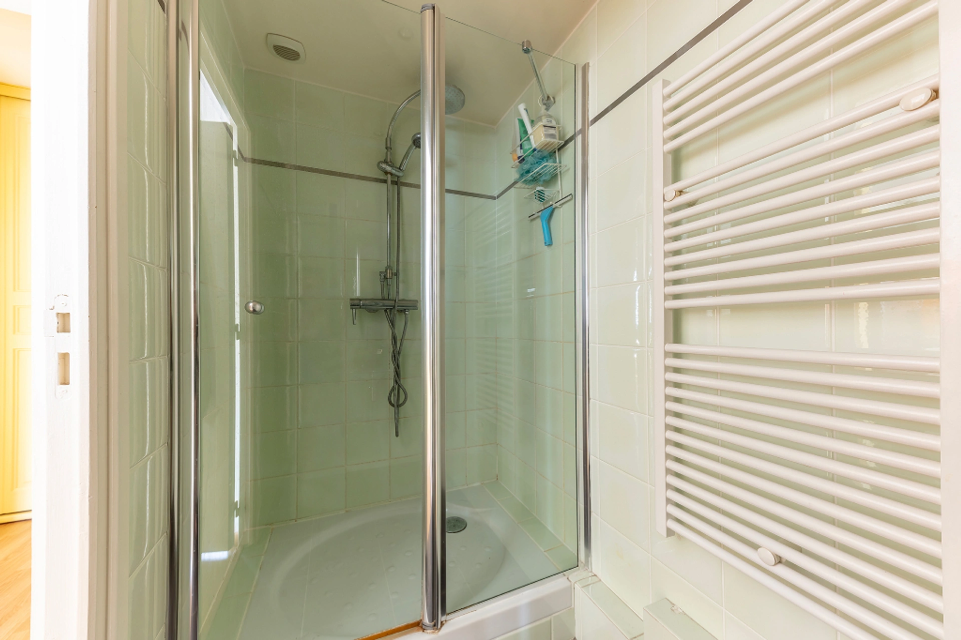 PARIS 15 - RUE CHARLES WEISS 13