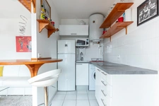 PARIS 15 - RUE CAMULOGENE 5