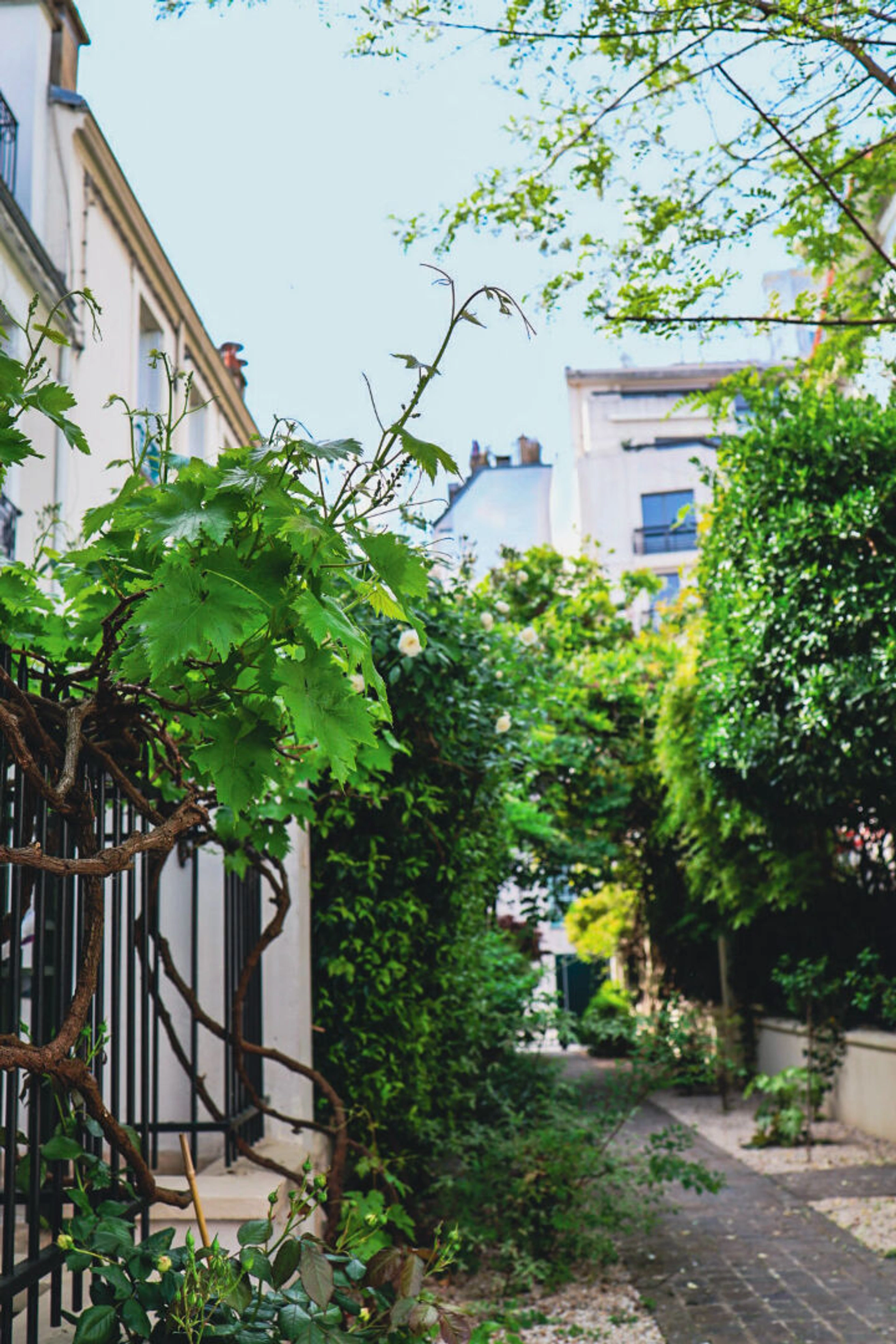 PARIS 16 - VILLA DUFRESNE 1