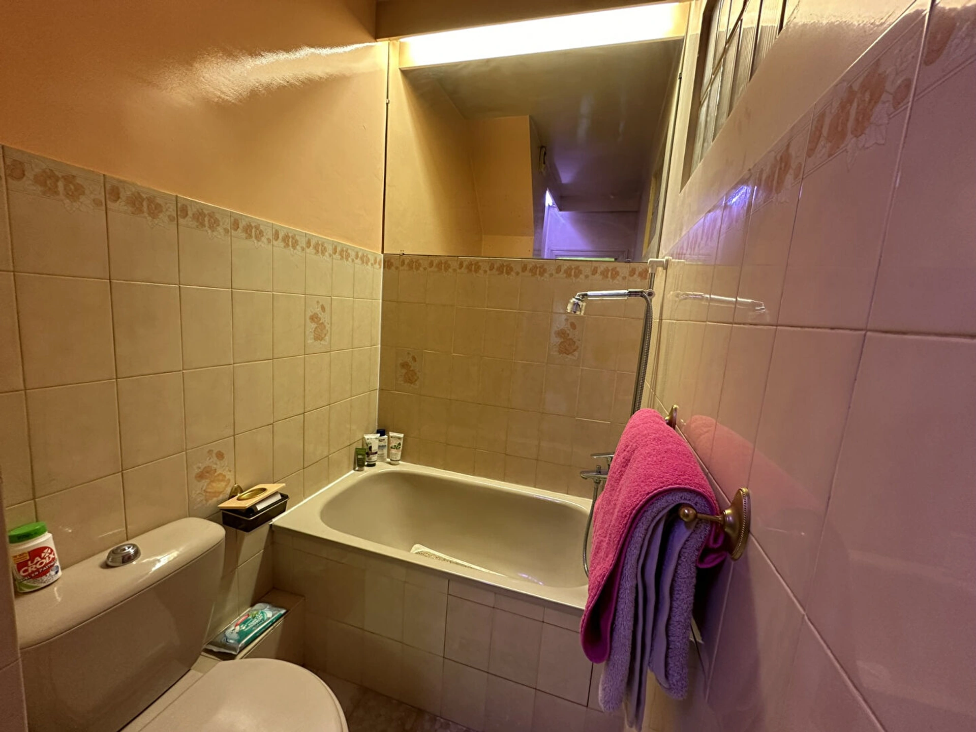 NEUILLY SUR SEINE - BAGATELLE 6