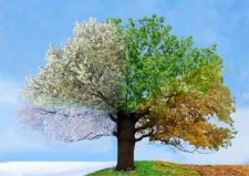 Les saisons ont elles un impact sur la vente de son logement?