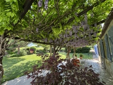 Longère rénovée de 240m2 environ dans un écrin de nature, sa