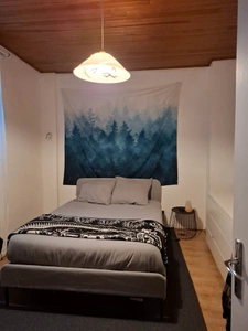 Toulouse   Investissement locatif   T2 loué + grand garage  