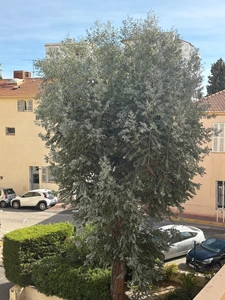 CANNES -PETIT JUAS-Joli 3 Pièces à 3 minutes de Forville à Pied 