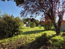 Maison familiale en plein centre de Mansle
