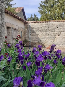 Stone longère with barns, 3 bedrooms, potential for guest ho