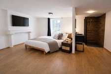 Fully Renovated 4-Bedroom Detached Village Home with Garage,