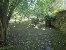 RARE ! Appartement avec grand jardin et annexes aménageables !