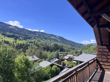 OPPORTUNITÉ - PRAZ SUR ARLY