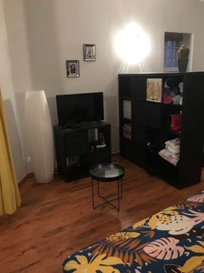 Appartement T2 - Quartier Littré- Vendu loué- Idéal investis