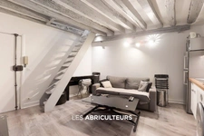 Duplex<span></span>21 m²<span></span>1 chambre<span></span>Paris 1