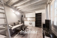 Duplex<span></span>21 m²<span></span>1 chambre<span></span>Paris 1