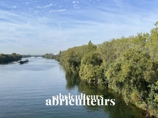 ARGENTEUIL / CENTRE - TRIPLEX  - 4 PIECES - 3 CHAMBRES - 71 M2 - 216.580 €