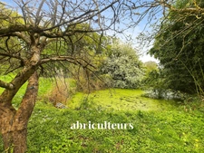 THIMORY - MAISON - 5 PIECES - 3 CHAMBRES - 150 M2 - 159.500 €