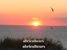 CRIEL SUR MER<span></span>MAISON VUE MER<span></span>4 PIECES<span></span>3 CHAMBRES<span></span>62 M2<span></span>179 500 €