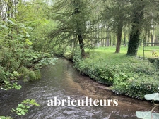 SACLAS / ETAMPES<span></span>MAISON AVEC ACCES RIVIERE ET STUDIO INDÉPENDANT<span></span>6 PIECES<span></span>5 CHAMBRES<span></span>200 M2<span></span>368.000 €