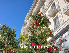 Duplex T/3  refait à neuf dans un ancien Palace Belle Époque vendu à Menton (06500)