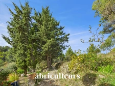 Propriété d'artistes au cœur de 2 ha de verdure - Cantaron