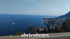 Appartement T2 de Prestige – Roquebrune-Cap-Martin | À 500 m de Monaco