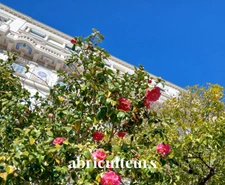 Duplex T/3  refait à neuf dans un ancien Palace Belle Époque vendu à Menton (06500)