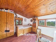 Propriété d'artistes au cœur de 2 ha de verdure - Cantaron