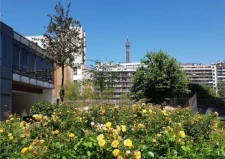 La Dalle Beaugrenelle