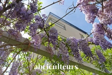 Appartement – 83 m² – 3 pièces – Villeurbanne portes de Montchat