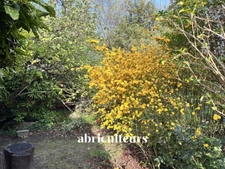 COLOMBES GABRIEL PERI  - MAISON AVEC DEPENDANCE ET JARDIN - 7 PIECES – 3/4 CHAMBRES - 126 M2 - 625.500 €