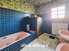 Maison familiale 140 m² avec fort potentiel - Linars