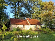 Havre de paix en Périgord Vert : propriété intime au bout d’une voie sans issue