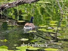Château du XVIIe - 1000 m² - Proche Paris - Morigny-Champigny