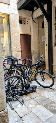 T2 de charme dans l'ancien et lumineux en vente à Nantes (44000)