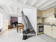 T3 en duplex avec terrasse à Pont ST Martin