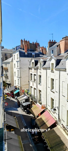 T2 de charme dans l'ancien et lumineux en vente à Nantes (44000)