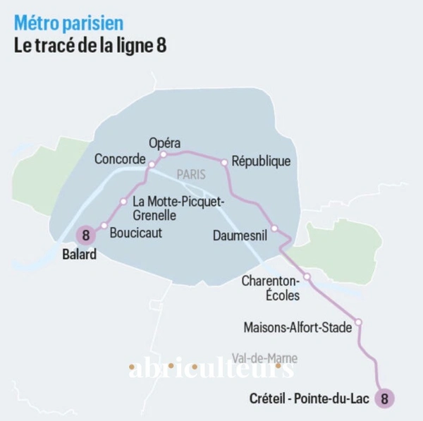 Appartement entièrement rénové sur les Bords de Marne à Maisons Alfort (94700)