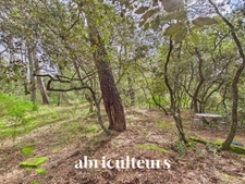 Maison T4 fort potentiel avec terrain de 10 000m² à Rognes 13840