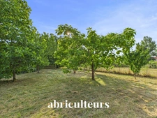 CHARENTAISE AUX BEAUX VOLUMES<span></span>VILLENEUVE LA COMTESSE