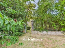 CHARENTAISE AUX BEAUX VOLUMES - VILLENEUVE LA COMTESSE