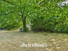 CHARENTAISE AUX BEAUX VOLUMES<span></span>VILLENEUVE LA COMTESSE