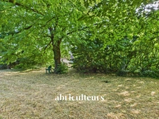 CHARENTAISE AUX BEAUX VOLUMES - VILLENEUVE LA COMTESSE