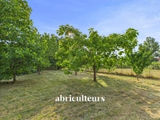 CHARENTAISE AUX BEAUX VOLUMES<span></span>VILLENEUVE LA COMTESSE