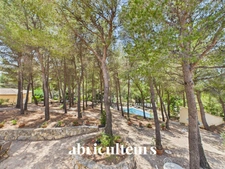 Maison d’architecte de 256 m² avec piscine et jardin arboré de 4 000 m²