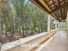 Maison d’architecte de 256 m² avec piscine et jardin arboré de 4 000 m²